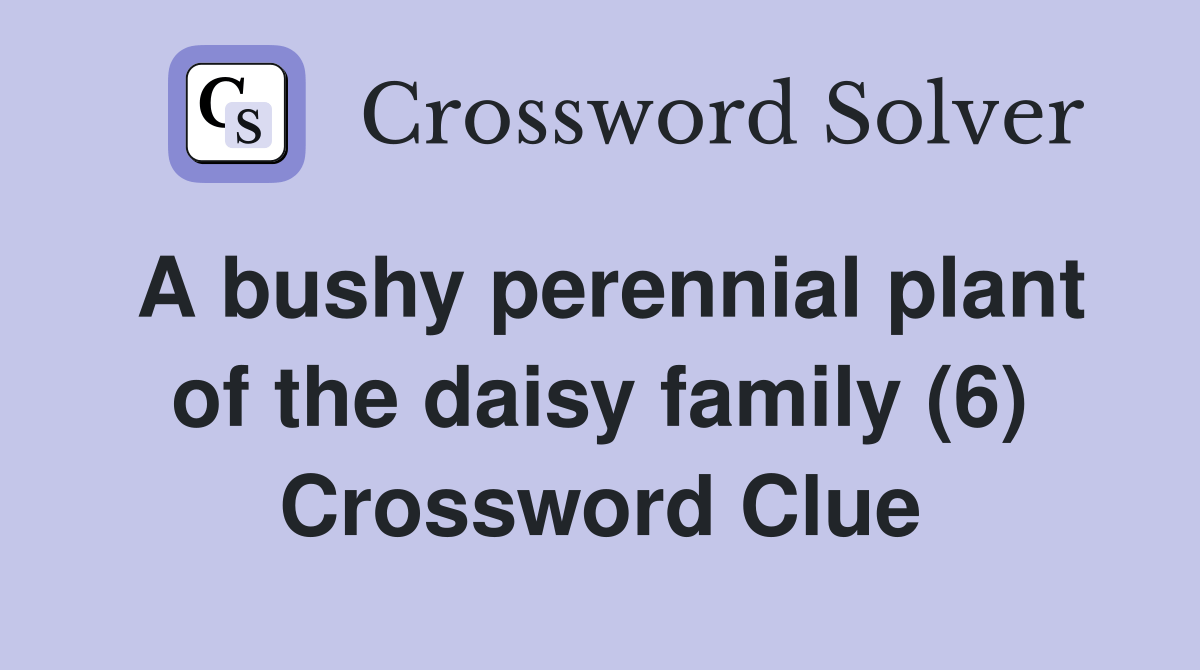 A bushy perennial plant of the daisy family (6) Crossword Clue